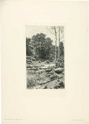 Шишкин Иван Иванович. Сухие березки